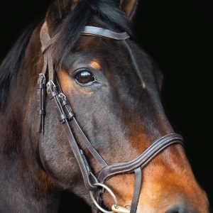 PERFORMANCE ANATOMIC BRIDLE