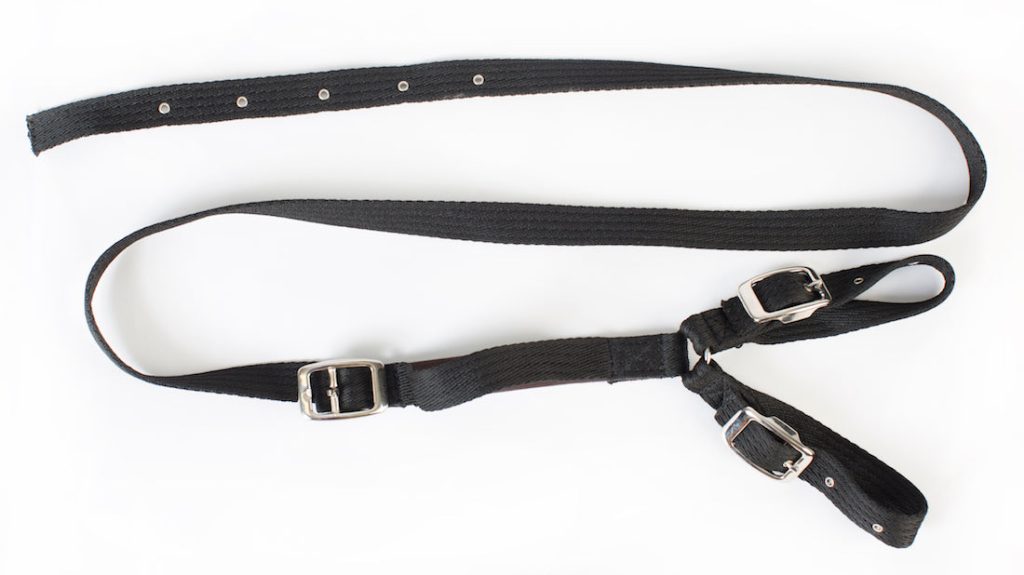 Daisy Reins
