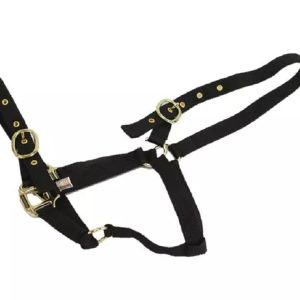 Equisential Nylon Weanling Headcollar