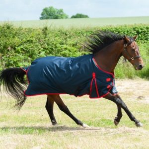 Turnout Rug 200G